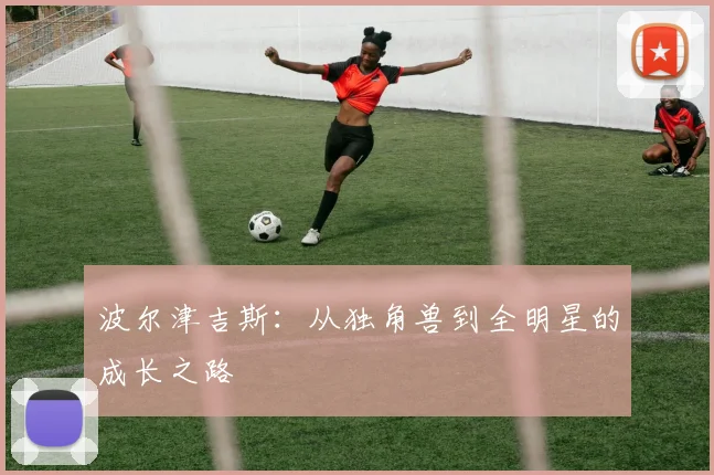 波尔津吉斯：从独角兽到全明星的成长之路