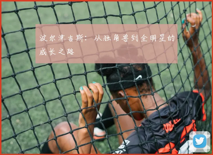 波尔津吉斯:从独角兽到全明星的成长之路